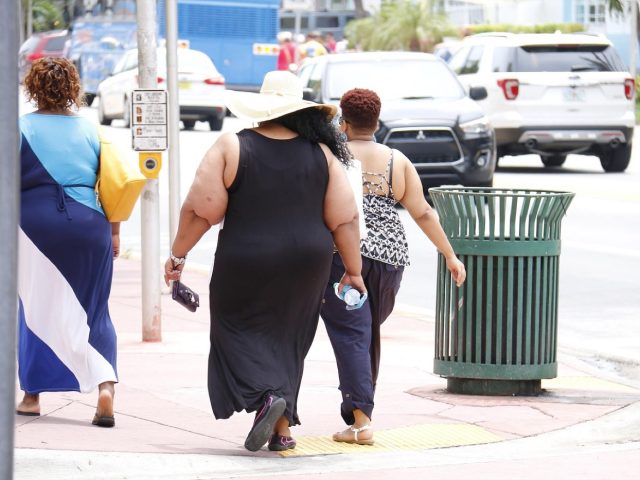 Diététicien-nutritionniste à Montpellier : rôle et consultation