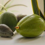 Les bienfaits de l’avocat : un allié pour votre santé