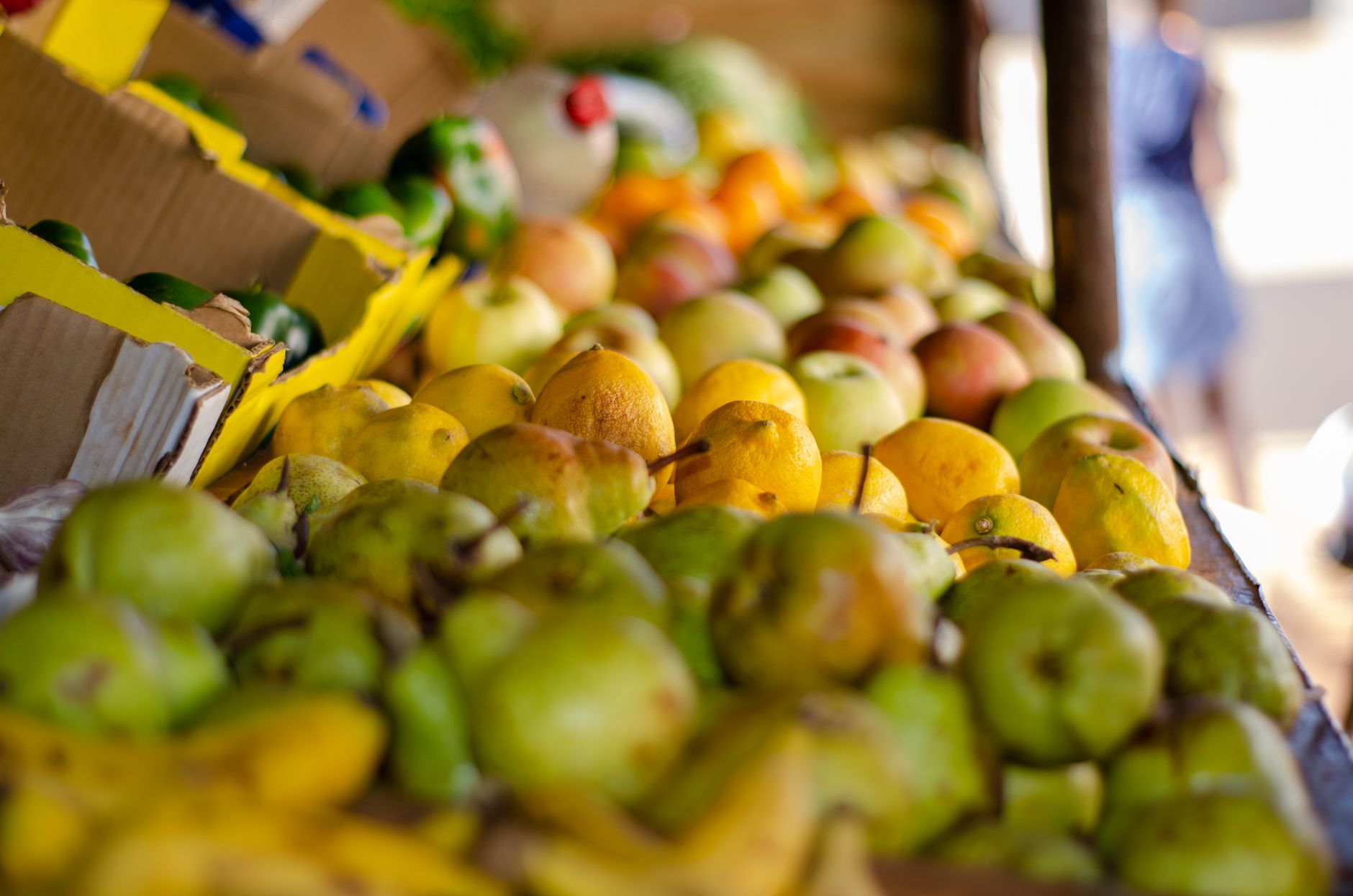 Les aliments essentiels à intégrer quotidiennement pour une meilleure santé