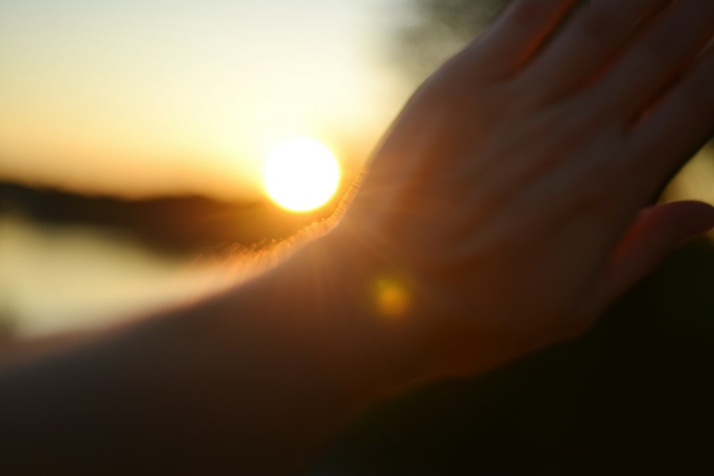 Vitamine D : rôle, risques et supplémentation
